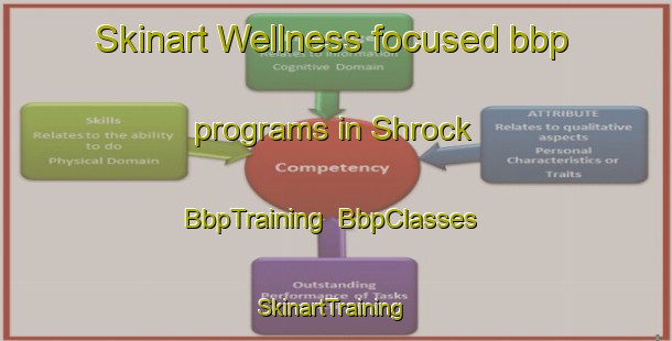 Skinart Wellness-focused bbp programs in Shrock | BbpTraining | BbpClasses | SkinartTraining-United States