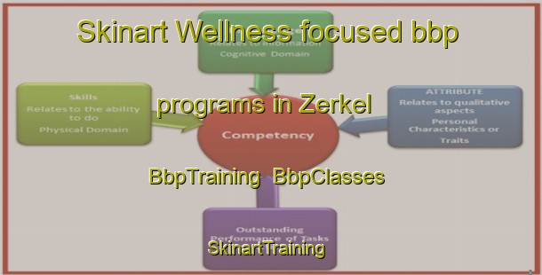 Skinart Wellness-focused bbp programs in Zerkel | BbpTraining | BbpClasses | SkinartTraining-United States