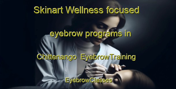 Skinart Wellness-focused eyebrow programs in Chittenango | EyebrowTraining | EyebrowClasses | SkinartTraining-United States