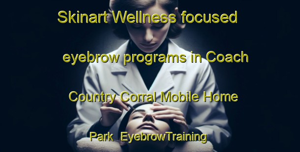 Skinart Wellness-focused eyebrow programs in Coach Country Corral Mobile Home Park | EyebrowTraining | EyebrowClasses | SkinartTraining-United States