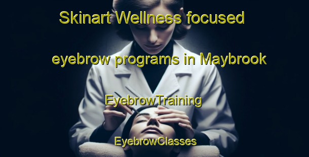 Skinart Wellness-focused eyebrow programs in Maybrook | EyebrowTraining | EyebrowClasses | SkinartTraining-United States