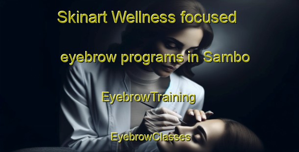 Skinart Wellness-focused eyebrow programs in Sambo | EyebrowTraining | EyebrowClasses | SkinartTraining-United States