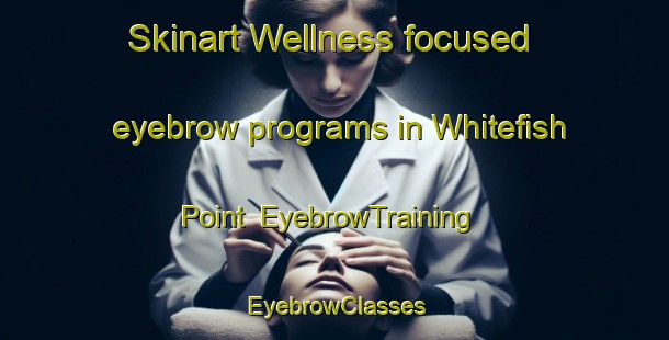 Skinart Wellness-focused eyebrow programs in Whitefish Point | EyebrowTraining | EyebrowClasses | SkinartTraining-United States