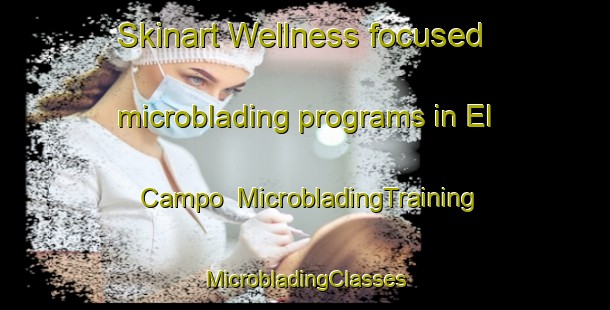 Skinart Wellness-focused microblading programs in El Campo | #MicrobladingTraining #MicrobladingClasses #SkinartTraining-United States