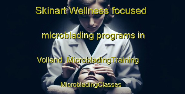 Skinart Wellness-focused microblading programs in Volland | MicrobladingTraining | MicrobladingClasses | SkinartTraining-United States