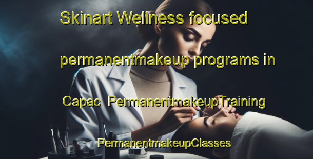 Skinart Wellness-focused permanentmakeup programs in Capac | #PermanentmakeupTraining #PermanentmakeupClasses #SkinartTraining-United States