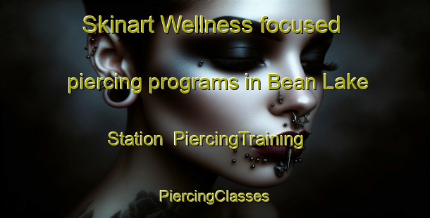 Skinart Wellness-focused piercing programs in Bean Lake Station | #PiercingTraining #PiercingClasses #SkinartTraining-United States