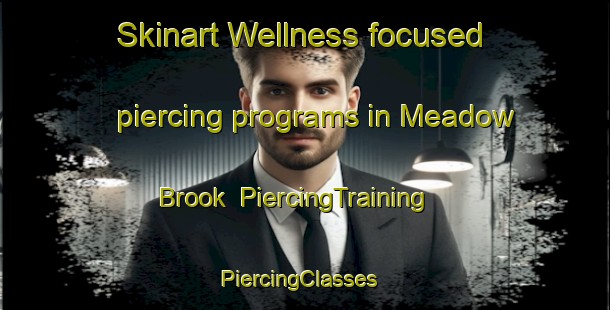 Skinart Wellness-focused piercing programs in Meadow Brook | PiercingTraining | PiercingClasses | SkinartTraining-United States