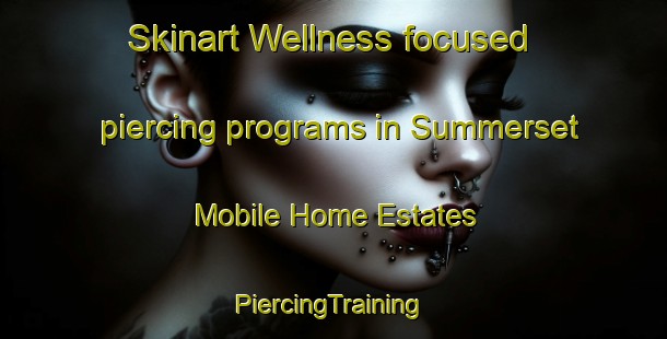 Skinart Wellness-focused piercing programs in Summerset Mobile Home Estates | #PiercingTraining #PiercingClasses #SkinartTraining-United States