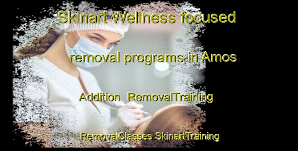 Skinart Wellness-focused removal programs in Amos Addition | #RemovalTraining #RemovalClasses #SkinartTraining-United States