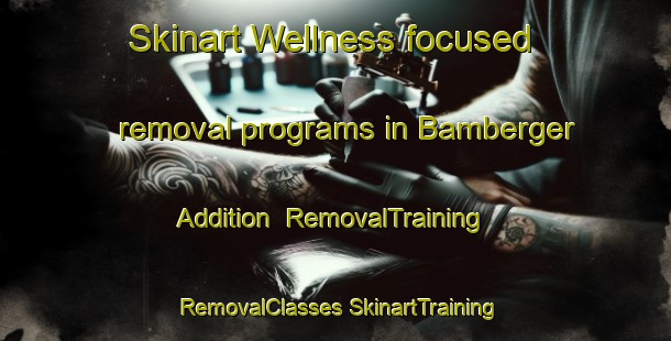 Skinart Wellness-focused removal programs in Bamberger Addition | #RemovalTraining #RemovalClasses #SkinartTraining-United States