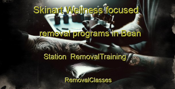 Skinart Wellness-focused removal programs in Bean Station | RemovalTraining | RemovalClasses | SkinartTraining-United States