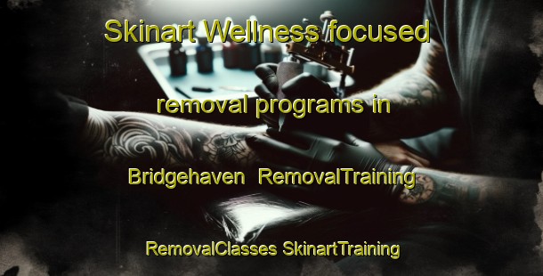 Skinart Wellness-focused removal programs in Bridgehaven | #RemovalTraining #RemovalClasses #SkinartTraining-United States