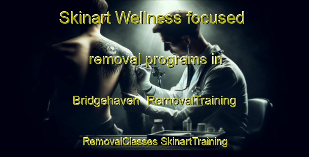 Skinart Wellness-focused removal programs in Bridgehaven | #RemovalTraining #RemovalClasses #SkinartTraining-United States