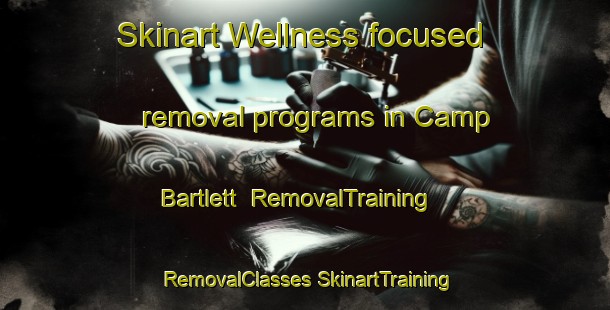 Skinart Wellness-focused removal programs in Camp Bartlett | #RemovalTraining #RemovalClasses #SkinartTraining-United States