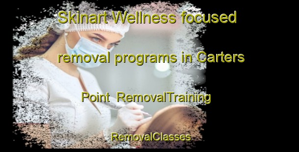Skinart Wellness-focused removal programs in Carters Point | RemovalTraining | RemovalClasses | SkinartTraining-United States