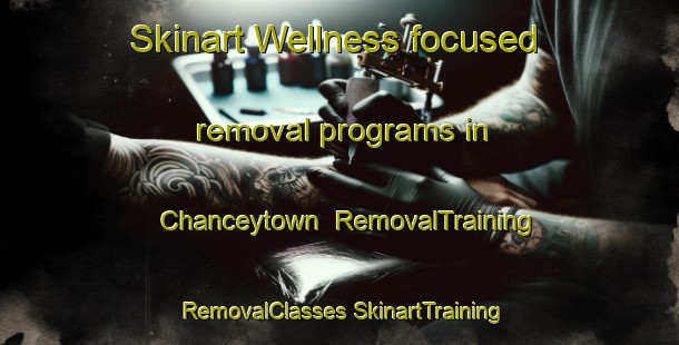 Skinart Wellness-focused removal programs in Chanceytown | #RemovalTraining #RemovalClasses #SkinartTraining-United States