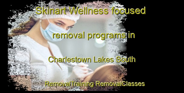 Skinart Wellness-focused removal programs in Charlestown Lakes South | #RemovalTraining #RemovalClasses #SkinartTraining-United States