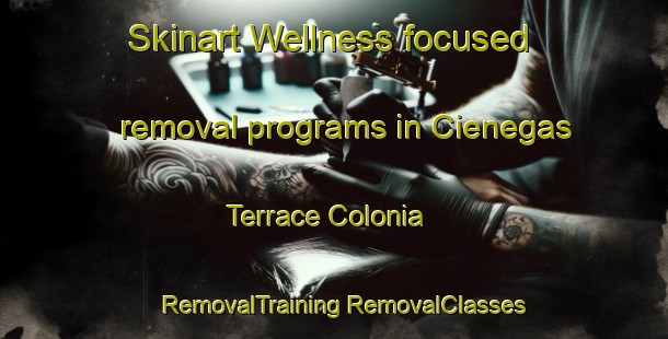 Skinart Wellness-focused removal programs in Cienegas Terrace Colonia | #RemovalTraining #RemovalClasses #SkinartTraining-United States