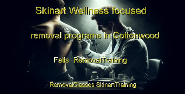 Skinart Wellness-focused removal programs in Cottonwood Falls | #RemovalTraining #RemovalClasses #SkinartTraining-United States