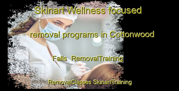 Skinart Wellness-focused removal programs in Cottonwood Falls | #RemovalTraining #RemovalClasses #SkinartTraining-United States