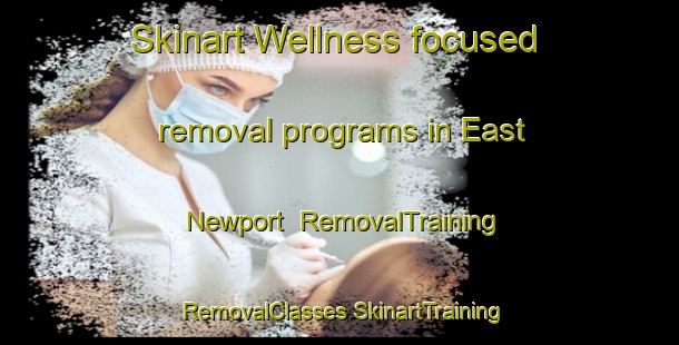 Skinart Wellness-focused removal programs in East Newport | #RemovalTraining #RemovalClasses #SkinartTraining-United States