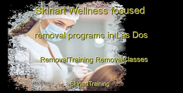 Skinart Wellness-focused removal programs in Las Dos | #RemovalTraining #RemovalClasses #SkinartTraining-United States