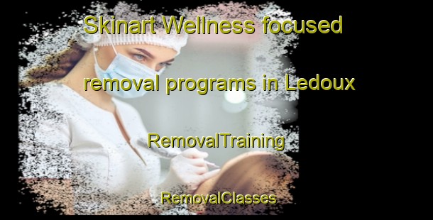 Skinart Wellness-focused removal programs in Ledoux | RemovalTraining | RemovalClasses | SkinartTraining-United States
