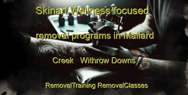 Skinart Wellness-focused removal programs in Mallard Creek   Withrow Downs | #RemovalTraining #RemovalClasses #SkinartTraining-United States