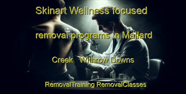 Skinart Wellness-focused removal programs in Mallard Creek   Withrow Downs | #RemovalTraining #RemovalClasses #SkinartTraining-United States