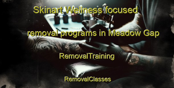 Skinart Wellness-focused removal programs in Meadow Gap | RemovalTraining | RemovalClasses | SkinartTraining-United States