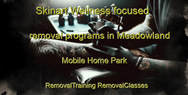 Skinart Wellness-focused removal programs in Meadowland Mobile Home Park | #RemovalTraining #RemovalClasses #SkinartTraining-United States