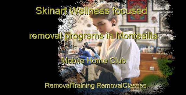 Skinart Wellness-focused removal programs in Montesilla Mobile Home Club | #RemovalTraining #RemovalClasses #SkinartTraining-United States