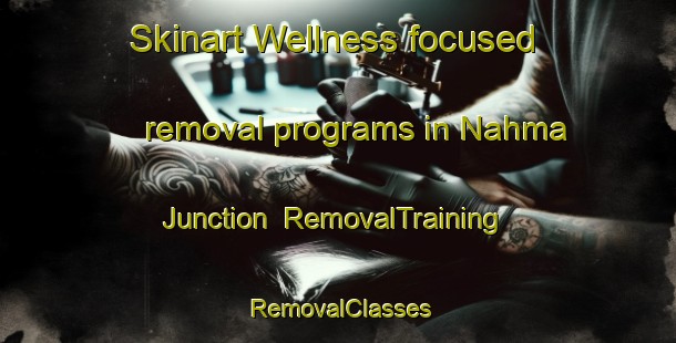Skinart Wellness-focused removal programs in Nahma Junction | RemovalTraining | RemovalClasses | SkinartTraining-United States