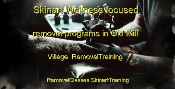 Skinart Wellness-focused removal programs in Old Mill Village | #RemovalTraining #RemovalClasses #SkinartTraining-United States