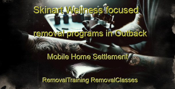 Skinart Wellness-focused removal programs in Outback Mobile Home Settlement | #RemovalTraining #RemovalClasses #SkinartTraining-United States