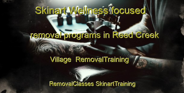 Skinart Wellness-focused removal programs in Reed Creek Village | #RemovalTraining #RemovalClasses #SkinartTraining-United States