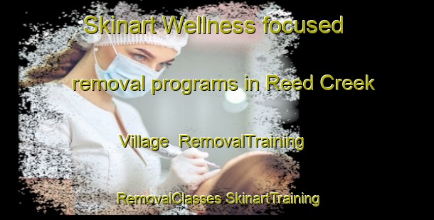 Skinart Wellness-focused removal programs in Reed Creek Village | #RemovalTraining #RemovalClasses #SkinartTraining-United States