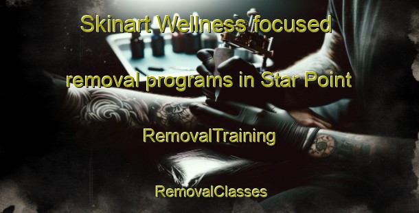 Skinart Wellness-focused removal programs in Star Point | RemovalTraining | RemovalClasses | SkinartTraining-United States