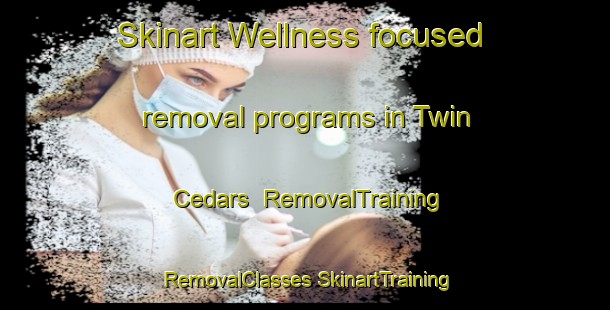 Skinart Wellness-focused removal programs in Twin Cedars | #RemovalTraining #RemovalClasses #SkinartTraining-United States