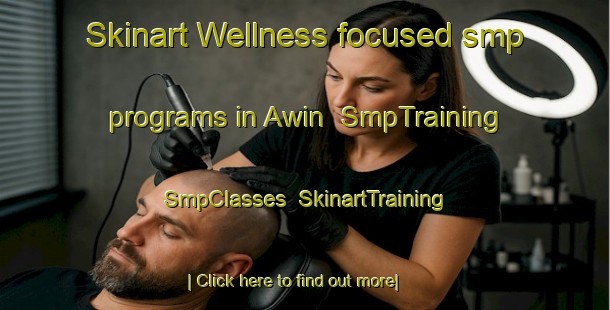 Skinart Wellness-focused smp programs in Awin | SmpTraining | SmpClasses | SkinartTraining-United States