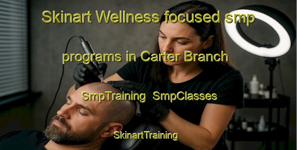 Skinart Wellness-focused smp programs in Carter Branch | SmpTraining | SmpClasses | SkinartTraining-United States