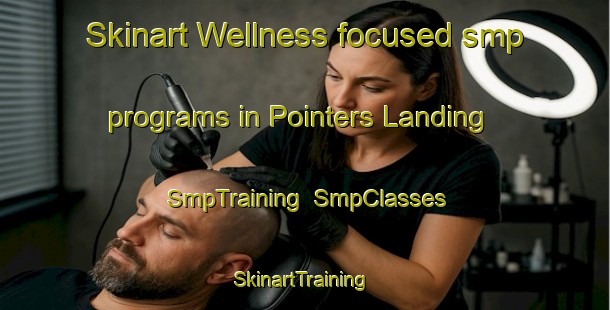 Skinart Wellness-focused smp programs in Pointers Landing | SmpTraining | SmpClasses | SkinartTraining-United States