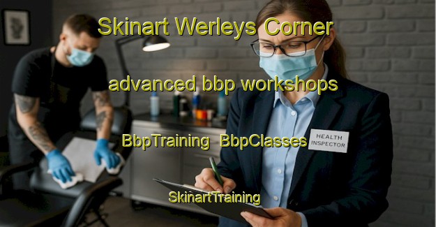 Skinart Werleys Corner advanced bbp workshops | BbpTraining | BbpClasses | SkinartTraining-United States