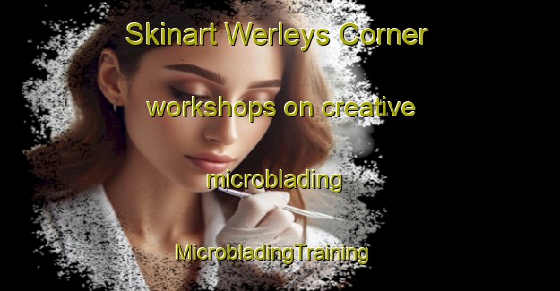 Skinart Werleys Corner workshops on creative microblading | MicrobladingTraining | MicrobladingClasses | SkinartTraining-United States