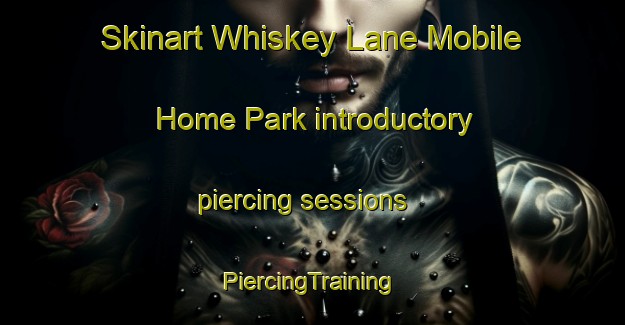 Skinart Whiskey Lane Mobile Home Park introductory piercing sessions | #PiercingTraining #PiercingClasses #SkinartTraining-United States