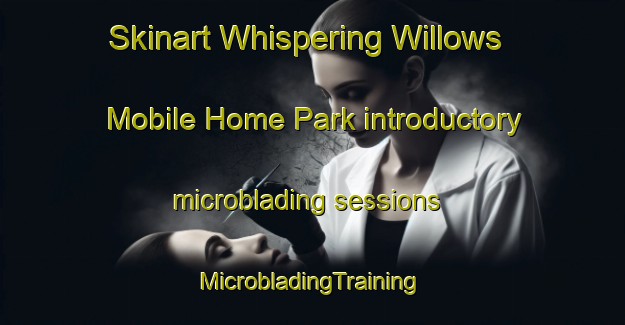 Skinart Whispering Willows Mobile Home Park introductory microblading sessions | #MicrobladingTraining #MicrobladingClasses #SkinartTraining-United States