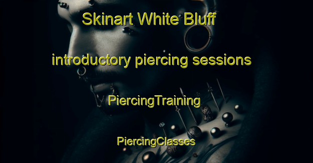 Skinart White Bluff introductory piercing sessions | #PiercingTraining #PiercingClasses #SkinartTraining-United States