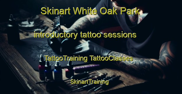 Skinart White Oak Park introductory tattoo sessions | #TattooTraining #TattooClasses #SkinartTraining-United States