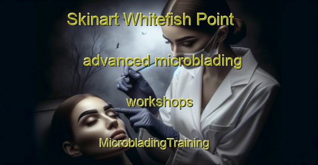 Skinart Whitefish Point advanced microblading workshops | MicrobladingTraining | MicrobladingClasses | SkinartTraining-United States